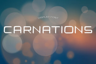 Carnations: A Display Font for Your Handmade Brand