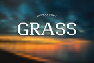 Elevate Your Business Branding with Grass: A Font Built for Recognition