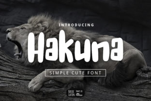 Hakuna: The Casual Display Font Your Campaigns Need