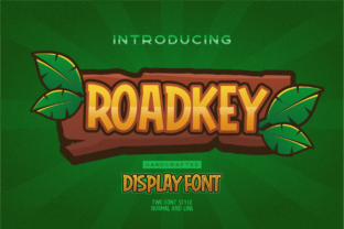 Roadkey: A Display Font That Makes Campaigns Pop